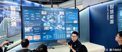 高質(zhì)量發(fā)展調(diào)研行 開發(fā)工具軟件——軟件工業(yè)的明珠與人工智能應(yīng)用軟件開發(fā)