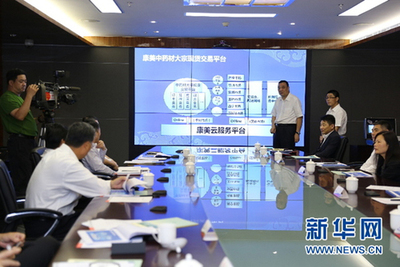 廣東省委副書記馬興瑞考察康美藥業 關注企業創新與產業發展